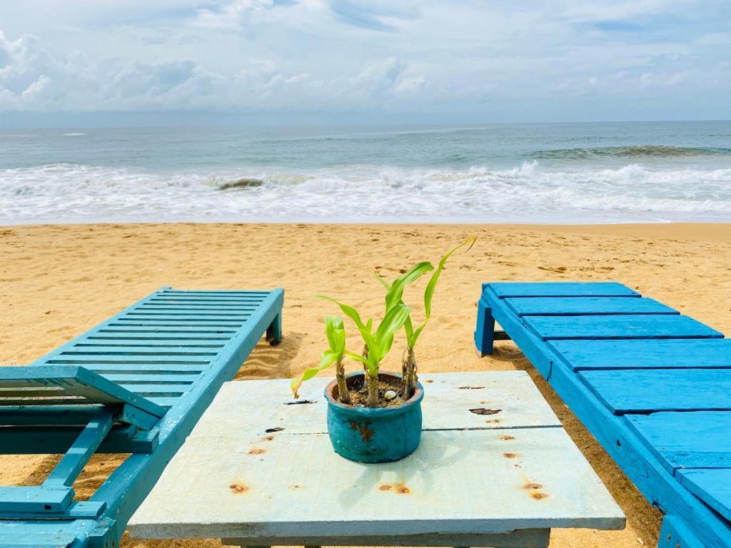 Ramya Ru Beach Home Galle Bagian luar foto